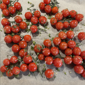 Fordel krydderiblandingen hen over tomaterne (som vist på bileldet).